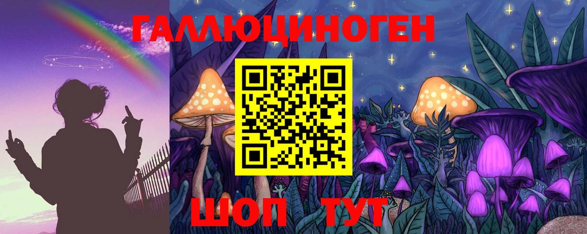 Лесозаводск  Галлюциногенные грибы Cubensis  Вход с VPN 